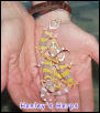 Albino Hatchlings
