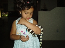 FHA (Future Herpetologists of America)