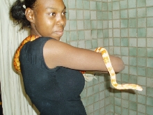 Jess with corns