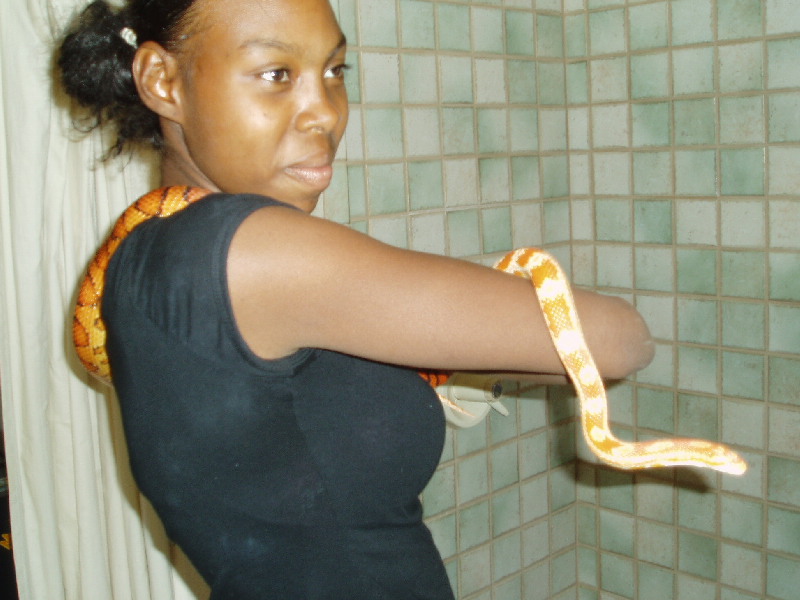 Jess with corns