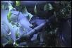 50g Whites Tree Frog Viv.