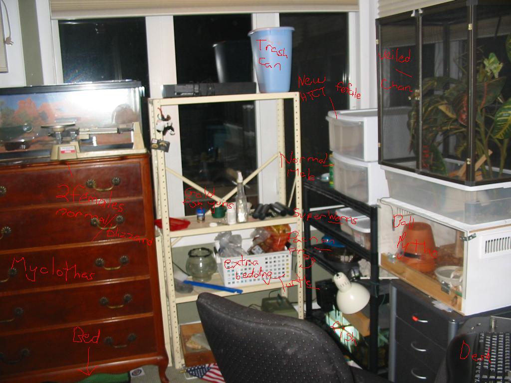 My room