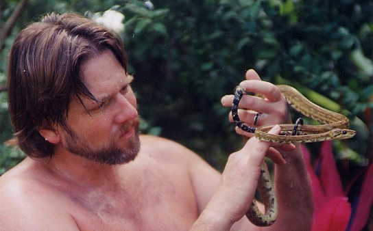 Costa Rican Corallus