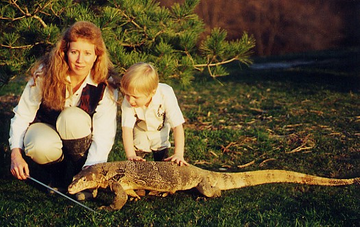 Asian water monitor