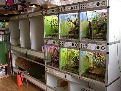 Terrariumwall