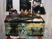 New Tank for Mike