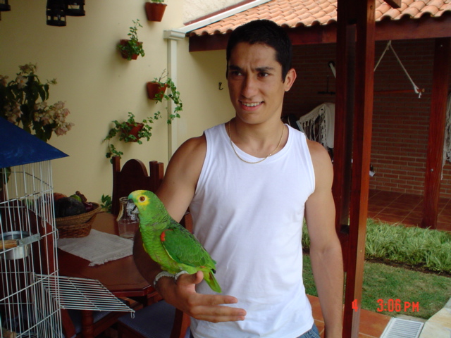 I and my parrot