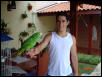 my parrot
