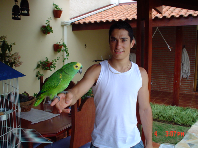 my parrot