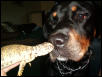 Isis and Uro