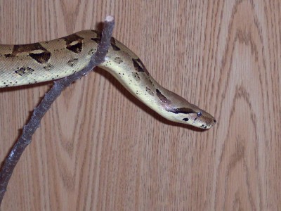 just hanging around