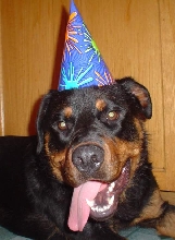 Party Hat