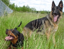 Nitro and Balder
