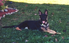 Nitro @ 19 weeks