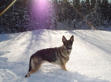 Nitro in the snow