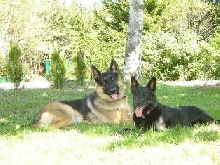 Nitro and Teeka