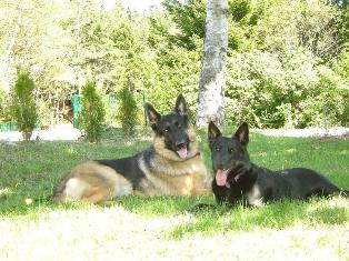Nitro and Teeka