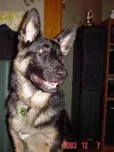 Nitro @ 6 months