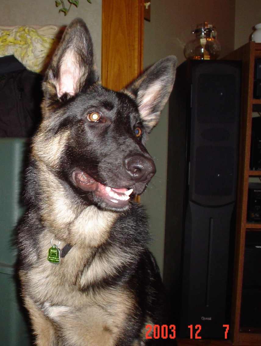Nitro @ 6 months
