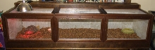 Tortoise Enclosure (finished, finally)