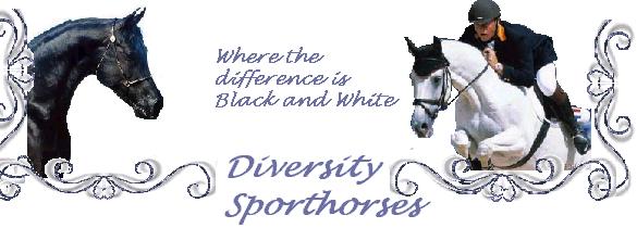 My Banner