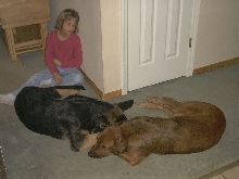Apollo and Bear