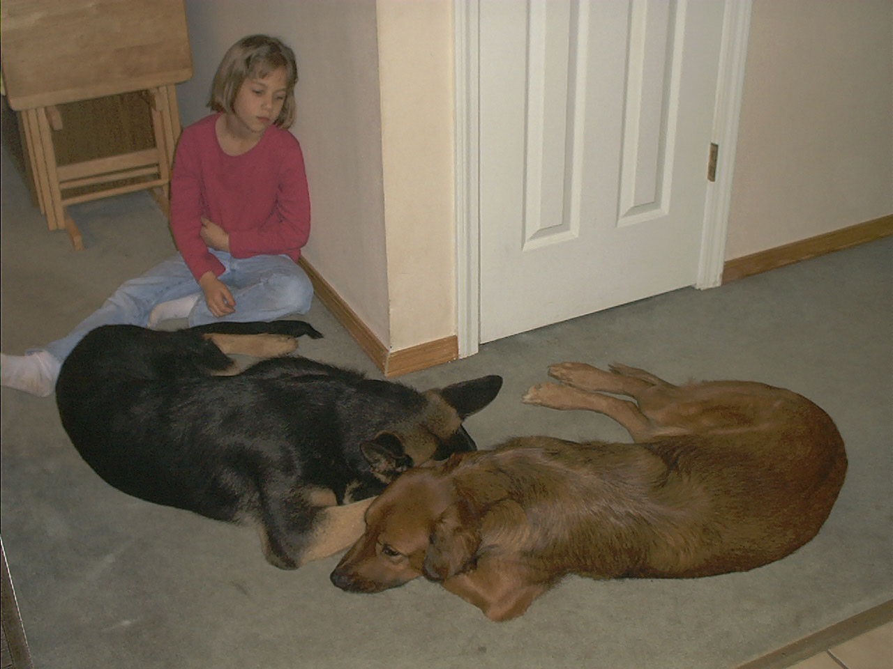 Apollo and Bear