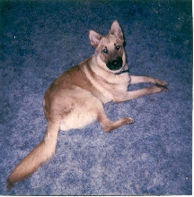 Our Beloved Rocky