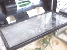 bug housing