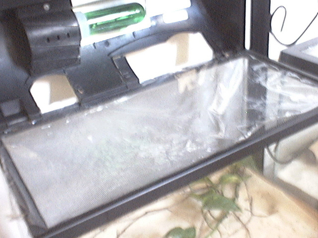 bug housing
