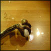 python eating