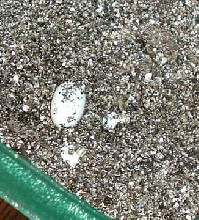 my first crested eggs