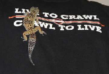 L2C3