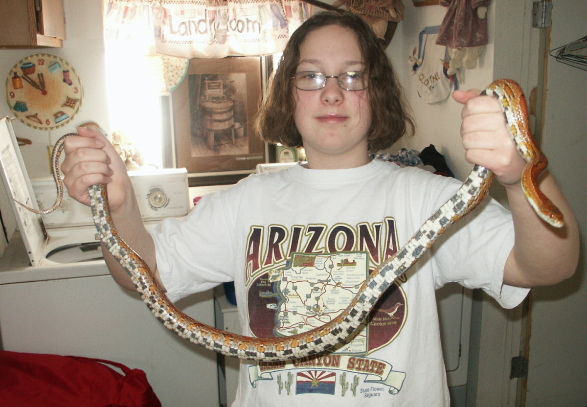 2009 Checks the Snake