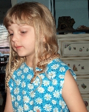 Sam the Bull Snake