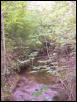 Snake huntin area