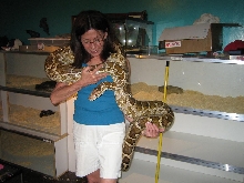 Indian Python
