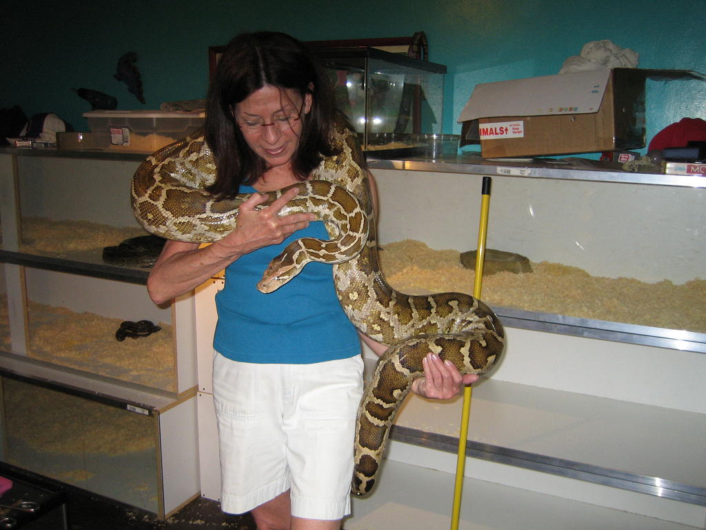 Indian Python