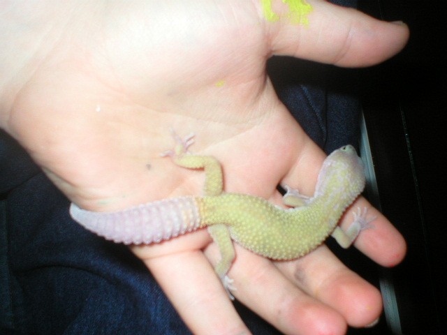 male 2 again