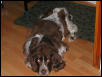 max again