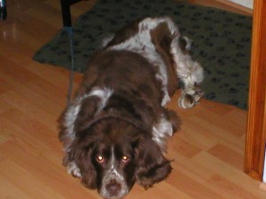 max again