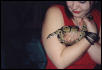 ball w/ scardy cat
