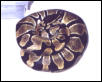 banded ball