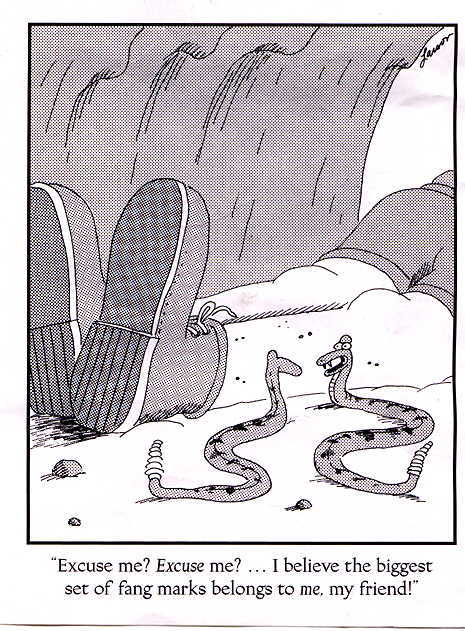 Larson funnies