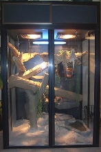 Tall Beardie Cage