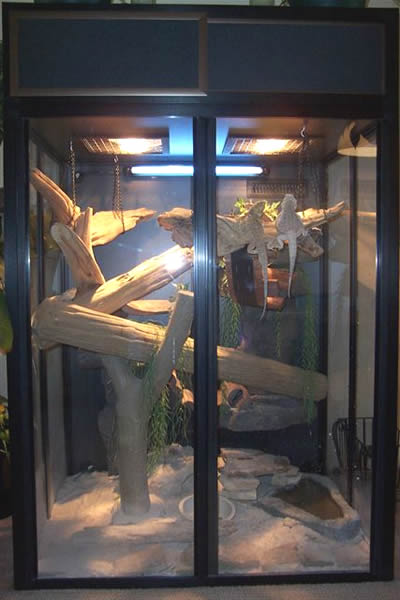 Tall Beardie Cage