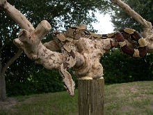 bcc on tree