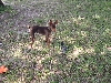 peanut with bird