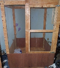 plated lizard cage 2