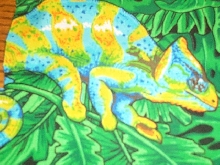 blue, green, and yellow cham